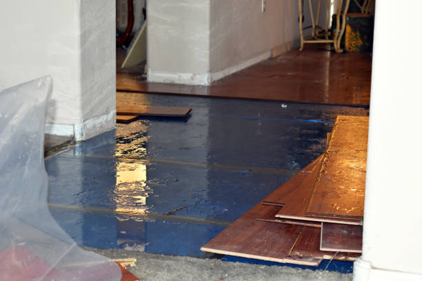 Professional Burst Pipe Cleanup technician working in Cooleemee, NC